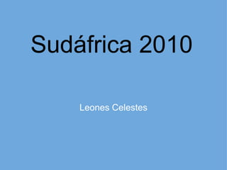 Sudáfrica 2010 Leones Celestes 
