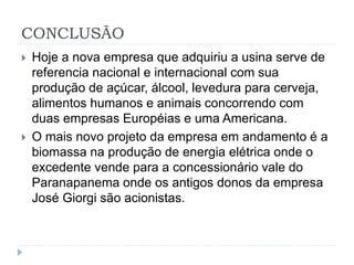 CONCLUSÃO 
 Hoje a nova empresa que adquiriu a usina serve de 
referencia nacional e internacional com sua 
produção de açúcar, álcool, levedura para cerveja, 
alimentos humanos e animais concorrendo com 
duas empresas Européias e uma Americana. 
 O mais novo projeto da empresa em andamento é a 
biomassa na produção de energia elétrica onde o 
excedente vende para a concessionário vale do 
Paranapanema onde os antigos donos da empresa 
José Giorgi são acionistas. 
 