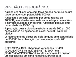 REVISÃO BIBLIOGRÁFICA 
 A usina era alimentada com força propria por meio de um 
turbo gerador com potencial de 500Hp. 
 A descarga de cana era feito por ponte rolante de 
10000Kg e o abastecimento de cana feito por caminhões 
e carretas puxadas por tratores. A balança possuía uma 
capacidade de 15000 Kg. 
 A produção dessa ciclonica estrutura era de 800 a 1000 
sacos diários de açúcar e de álcool de 6000 l a 8000l 
diários. 
 O reservatório de álcool era dois tanques com capacidade 
de 350000 l e a plantação de cana em torno de 700 
alqueires. 
 Entre 1952 a 1960, chegou as variedades CO419 
(COIMBATORE na India (BENETIS, 2004) e a 
CB4276(CAMPOS BRASIL) onde a empresa foi buscar 
um especialista em cana na usina Maracaí para 
 