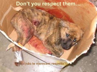 Don’t you respect them… (não te merecem respeito?) 