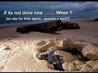 If its not done now ......... When ? (se não for feito agora…quando o será?) 