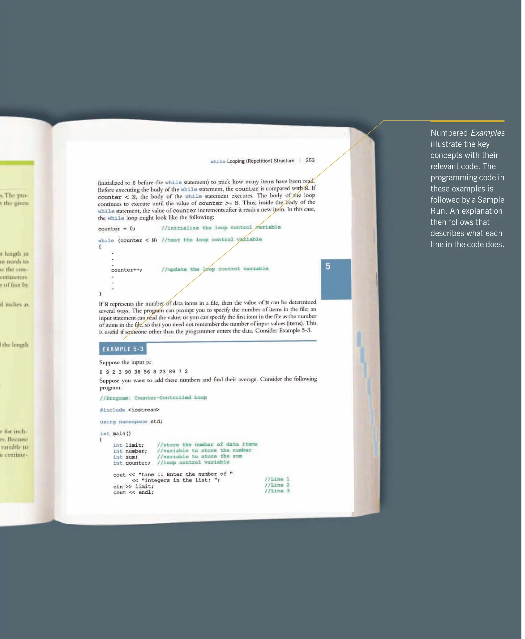 Numbered Examples illustrate the key concepts with their relevant code. The programming code in these examples is followed by a Sample Run. An explanation then follows that describes what each line in the code does. 