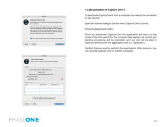 Manual Capture One | PDF