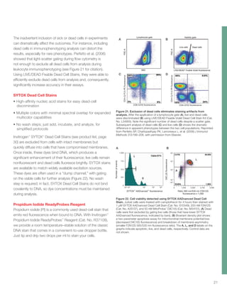 5,5003,7502,5001,2500
-102
102
103
104
105
1,029
772
515
257
0
105
104
1010 32
100
Numberofevents
DilC1
(5)fluorescence
Ratio 383 nm/530 nm F2N12S
fluorescence x 1,000
SYTOX™
AADvanced™
fluorescence
21
The inadvertent inclusion of sick or dead cells in experiments
can dramatically affect the outcomes. For instance, including
dead cells in immunophenotyping analysis can distort the
results, especially for rare phenotypes. Perfetto et al. (2006)
showed that light-scatter gating during flow cytometry is
not enough to exclude all dead cells from analysis during
leukocyte immunophenotyping (see Figure 21 for citation).
Using LIVE/DEAD Fixable Dead Cell Stains, they were able to
efficiently exclude dead cells from analysis and, consequently,
significantly increase accuracy in their assays.
SYTOX Dead Cell Stains
•	High-affinity nucleic acid stains for easy dead-cell
discrimination
•	Multiple colors with minimal spectral overlap for expanded
multicolor capabilities
•	No wash steps; just add, incubate, and analyze, for
simplified protocols
Invitrogen™
SYTOX™
Dead Cell Stains (see product list, page
30) are excluded from cells with intact membranes but
quickly diffuse into cells that have compromised membranes.
Once inside, these dyes bind DNA, which produces a
significant enhancement of their fluorescence; live cells remain
nonfluorescent and dead cells fluoresce brightly. SYTOX stains
are available to match widely available excitation sources.
These dyes are often used in a “dump channel,” with gating
on the viable cells for further analysis (Figure 22). No wash
step is required; in fact, SYTOX Dead Cell Stains do not bind
covalently to DNA, so dye concentrations must be maintained
during analysis.
Propidium Iodide ReadyProbes Reagent
Propidium iodide (PI) is a commonly used dead-cell stain that
emits red fluorescence when bound to DNA. With Invitrogen™
Propidium Iodide ReadyProbes™
Reagent (Cat. No. R37108),
we provide a room temperature–stable solution of the classic
DNA stain that comes in a convenient-to-use dropper bottle.
Just tip and drip two drops per ml to stain your cells.
Figure 22. Cell viability detected using SYTOX AADvanced Dead Cell
Stain. Jurkat cells were treated with camptothecin for 4 hours then stained with
1 µM SYTOX AADvanced Dead Cell Stain (Cat. No. S10349), 200 nM F2N12S
(Cat. No. A35137), and 50 nM MitoProbe™
DiIC1(5) (Cat. No. M34151). (A) Dead
cells were first excluded by gating live cells (those that have lower SYTOX
AADvanced fluorescence, indicated by bars). (B) Bivariant density plot shows
a two-parameter apoptosis assay for mitochondrial membrane potential loss
(decreased DiIC1(5) fluorescence) and breakdown of membrane asymmetry
(smaller F2N12S 585/530 nm fluorescence ratio). The A, L, and D labels on the
graphs indicate apoptotic, live, and dead cells, respectively. Control data are
not shown.
Figure 21. Exclusion of dead cells eliminates staining artifacts from
analysis. After the application of a lymphocyte gate (A), live and dead cells
were discriminated (B) using LIVE/DEAD Fixable Violet Dead Cell Stain Kit (Cat.
No. L34955). Note the significant number of dead cells despite a scatter gate.
Subsequent analysis of dead cells (C) and live cells (D) shows the dramatic
difference in apparent phenotypes between the two cell populations. Reprinted
from Perfetto SP, Chattopadhyay PK, Lamoreaux L, et al. (2006) J Immunol
Methods 313:199–208, with permission from Elsevier.
SSC
Lymphocyte gate Viability gate
Live cells Dead cells
CD4–Cy®
5.5-PEfluorescence
CD4–Cy®
5.5-PEfluorescence
FSC-A
FSC-A
CD8–Q705 fluorescenceCD8–Q705 fluorescence
LIVE/DEAD®
Fixable Violet fluorescence
A B
C D
SSC
Lymphocyte gate Viability gate
Live cells Dead cells
CD4–Cy®
5.5-PEfluorescence
CD4–Cy®
5.5-PEfluorescence
FSC-A
FSC-A
CD8–Q705 fluorescenceCD8–Q705 fluorescence
LIVE/DEAD®
Fixable Violet fluorescence
A B
C D
A B
A B
C D
5,5003,7502,5001,2500
-102
102
103
104
105
1,029
772
515
257
0
105
104
1010 32
100
Numberofevents
DilC1
(5)fluorescence
Ratio 383 nm/530 nm F2N12S
fluorescence x 1,000
SYTOX™
AADvanced™
fluorescence
 