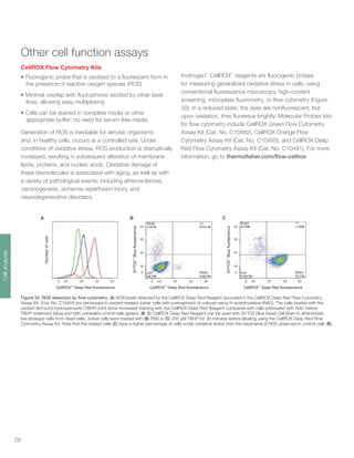 28
Other cell function assays
CellROX Flow Cytometry Kits
• Fluorogenic probe that is oxidized to a fluorescent form in
the presence of reactive oxygen species (ROS)
• Minimal overlap with fluorophores excited by other laser
lines, allowing easy multiplexing
• Cells can be stained in complete media or other
appropriate buffer; no need for serum-free media
Generation of ROS is inevitable for aerobic organisms
and, in healthy cells, occurs at a controlled rate. Under
conditions of oxidative stress, ROS production is dramatically
increased, resulting in subsequent alteration of membrane
lipids, proteins, and nucleic acids. Oxidative damage of
these biomolecules is associated with aging, as well as with
a variety of pathological events, including atherosclerosis,
carcinogenesis, ischemia-reperfusion injury, and
neurodegenerative disorders.
Invitrogen™
CellROX™
reagents are fluorogenic probes
for measuring generalized oxidative stress in cells, using
conventional fluorescence microscopy, high-content
screening, microplate fluorometry, or flow cytometry (Figure
30). In a reduced state, the dyes are nonfluorescent, but
upon oxidation, they fluoresce brightly. Molecular Probes kits
for flow cytometry include CellROX Green Flow Cytometry
Assay Kit (Cat. No. C10492), CellROX Orange Flow
Cytometry Assay Kit (Cat. No. C10493), and CellROX Deep
Red Flow Cytometry Assay Kit (Cat. No. C10491). For more
information, go to thermofisher.com/flow-cellrox
Figure 30. ROS detection by flow cytometry. (A) ROS levels detected by the CellROX Deep Red Reagent (provided in the CellROX Deep Red Flow Cytometry
Assay Kit, (Cat. No. C10491) are decreased in oxidant-treated Jurkat cells with pretreatment of cultures using N-acetylcysteine (NAC). The cells treated with the
oxidant tert-butyl hydroperoxide (TBHP) (red) show increased staining with the CellROX Deep Red Reagent compared with cells pretreated with NAC before
TBHP treatment (blue) and with untreated control cells (green). (B, C) CellROX Deep Red Reagent can be used with SYTOX Blue Dead Cell Stain to differentiate
live stressed cells from dead cells. Jurkat cells were treated with (B) PBS or (C) 200 μM TBHP for 30 minutes before labeling using the CellROX Deep Red Flow
Cytometry Assay Kit. Note that the treated cells (C) have a higher percentage of cells under oxidative stress than the basal level of ROS observed in control cells (B).
CellROX™
Deep Red fluorescence
SYTOX™
Bluefluorescence
0
102
103
104
105
0 102
103
104
105
CellROX™
Deep Red fluorescence
SYTOX™
Bluefluorescence
0
102
103
104
105
0 102
103
104
105
0 102
103
104
105
CellROX™
Deep Red fluorescence
Numberofcells
A B C
Cellanalysis
 