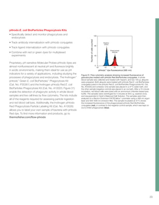 29
pHrodo E. coli BioParticles Phagocytosis Kits
•	Specifically detect and monitor phagocytosis and
endocytosis
•	Track antibody internalization with pHrodo conjugates
•	Track ligand internalization with pHrodo conjugates
•	Combine with red or green dyes for multiplexed
experiments
Proprietary, pH-sensitive Molecular Probes pHrodo dyes are
almost nonfluorescent at neutral pH and fluoresce brightly
in acidic environments, making them ideal for use as pH
indicators for a variety of applications, including studying the
processes of phagocytosis and endocytosis. The Invitrogen™
pHrodo™
Green E. coli BioParticles™
Phagocytosis Kit
(Cat. No. P35381) and the Invitrogen pHrodo Red E. coli
BioParticles Phagocytosis Kit (Cat. No. A10025; Figure 31)
enable the detection of phagocytic activity in whole blood
samples and live cell lines by flow cytometry. The kits include
all of the reagents required for assessing particle ingestion
and red blood cell lysis. Additionally, the Invitrogen pHrodo
Red Phagocytosis Particle Labeling Kit (Cat. No. A10026)
allows you to label your own sample of bacteria with pHrodo
Red dye. To find more information and products, go to
thermofisher.com/flow-phrodo
Figure 31. Flow cytometry analysis showing increased fluorescence of
granulocytes treated with pHrodo Red BioParticles conjugates. A whole
blood sample was collected and treated with heparin, and two 100 µL aliquots
were prepared. Both aliquots were treated with pHrodo Red E. coli BioParticles
conjugates (used in the pHrodo Red E. coli BioParticles Phagocytosis Kit, Cat.
No. A10025) and vortexed. One sample was placed in a 37°C water bath, and
the other sample (negative control) was placed in an ice bath. After a 15-minute
incubation, red blood cells were lysed with an ammonium chloride–based lysis
buffer. The samples were centrifuged for 5 minutes at 500 x g, washed once,
and resuspended in Hank's Balanced Salt Solution. The samples were then
analyzed on a Becton Dickinson FACSCalibur™
cytometer using a 488 nm argon
laser and 564–606 nm emission filter. The sample incubated at 37°C shows
the increased fluorescence of the phagocytosed pHrodo Red BioParticles
conjugates (red), in contrast to the negative control sample, which was kept on
ice to inhibit phagocytosis (blue).
pHrodo™
dye fluorescence (585 nm)
Numberofcellscounted
120
80
40
0
100
101
102
103
104
Negative
control
Phagocytosed
particles
 