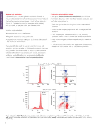 4
Figure 5. Isolation of CD4+
T cells from mouse spleen cells. Cell isolation using the Invitrogen™
Dynabeads™
FlowComp™
Mouse CD4 Kit (Cat. No. 11461D)
(top) results in substantially higher purity (97%) and viability (86%) than column-based (bottom) positive cell isolation (yielding purity and viability of 78% and 63%,
respectively).
Samplepreparation
Mouse cell isolation
Dynabeads products offer gentle tube-based isolation of
mouse cells directly from whole blood, spleen, lymph node, or
thymus for any downstream assay, including flow cytometry
(Figure 5). Dynabeads products are available for isolating
mouse T cells, B cells, NK cells, and dendritic cells.
Isolation options include:
•	Positive isolation and cell release
•	Negative isolation of untouched cells
•	Depletion of unwanted cell types or positive cell isolation
for molecular applications
If you can’t find a ready-to-use product for mouse cell
isolation, we have a range of Dynabeads products that can
be combined with an antibody of your choice to create a
tailored cell isolation tool: streptavidin beads, secondary
antibody–coated beads, and surface activated beads.
Learn more at thermofisher.com/mousecellisolation
Find more information online
If you go to thermofisher.com/cellisolation, you can find
information about our entire line of cell isolation products, and
you’ll also have access to:
•	Selection guides for choosing the correct cell isolation
product
•	Protocols for sample preparation and strategies for cell
isolation
•	Data showing the performance of our cell isolation
products versus other commercially available products
•	Help in choosing the correct magnets for your tubes or
plates
•	Links to videos, brochures, and application notes and to
references that cite the use of Dynabeads products
CD4+
Count
0
50
100
200
150
300
250
350
400 Purity:
78.5%
102
103
104
105
CD4+
Propidiumiodide
102
103
104
105
Viability:
63%
102
103
104
105
Column-based isolation
CD4+
Count
102
103
104
105
0
100
200
400
300
500
600 Purity:
97.2%
CD4+
Propidiumiodide
102
103
104
105
Viability:
86%
102
103
104
105
Dynabeads™ FlowComp™ Mouse CD4 Kit
 