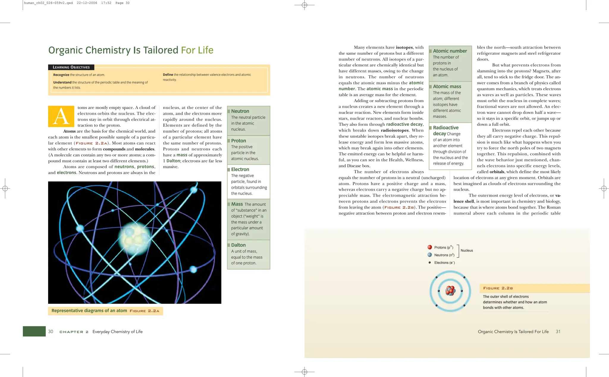 Visualizing Human Biology VISUALIZING SERIES Kathleen A. Ireland | PDF