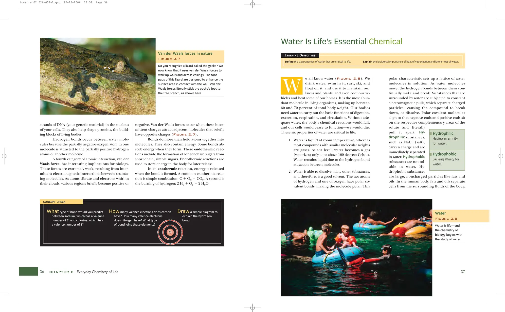 Visualizing Human Biology VISUALIZING SERIES Kathleen A. Ireland | PDF