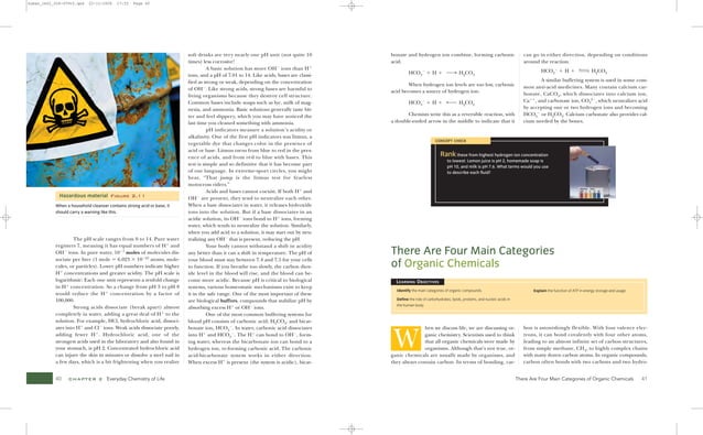 Visualizing Human Biology VISUALIZING SERIES Kathleen A. Ireland | PDF