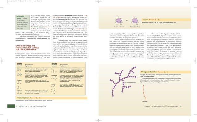 Visualizing Human Biology VISUALIZING SERIES Kathleen A. Ireland | PDF
