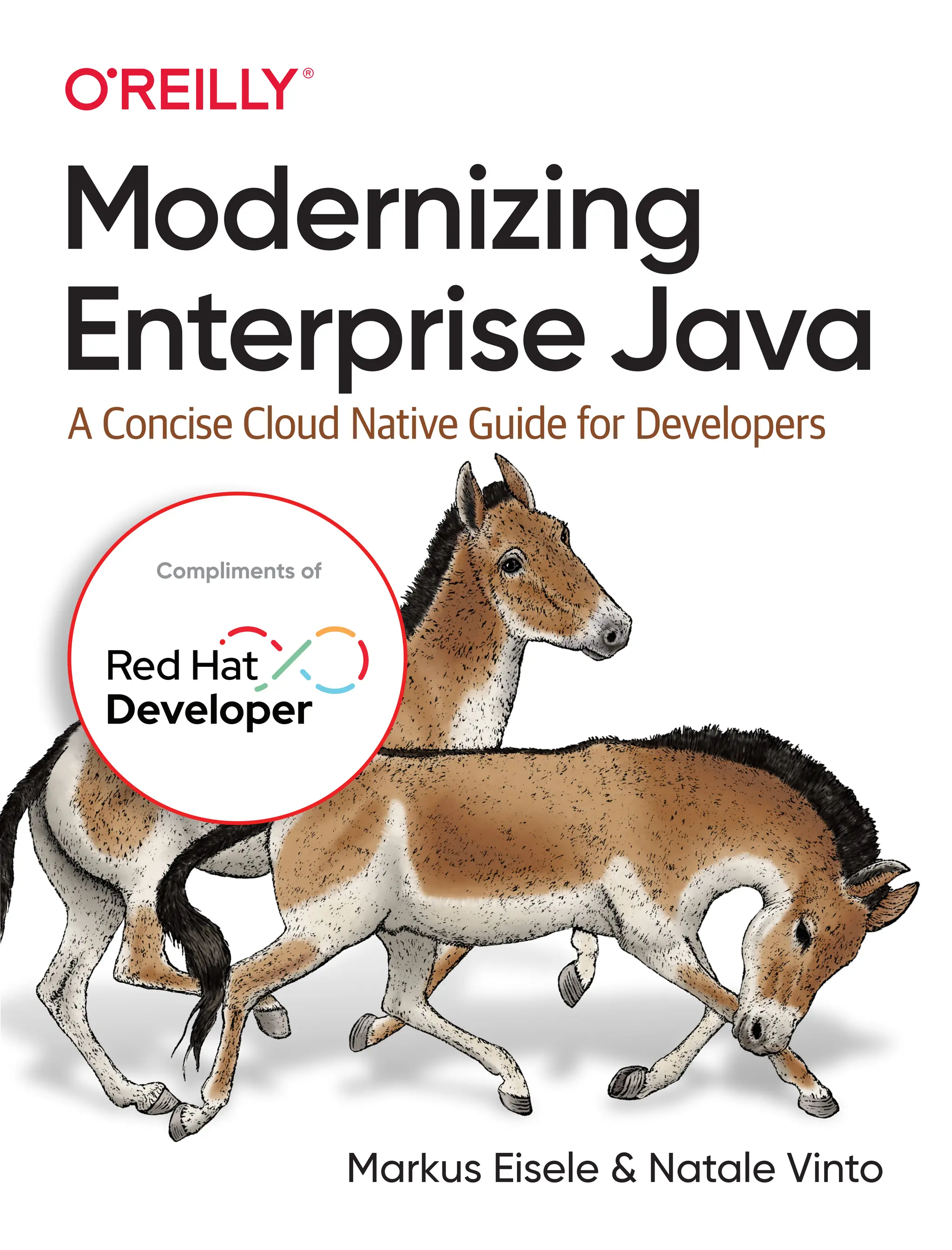 Modernizing
Enterprise Java
A Concise Cloud Native Guide for Developers
Markus Eisele & Natale Vinto
Compliments of
 