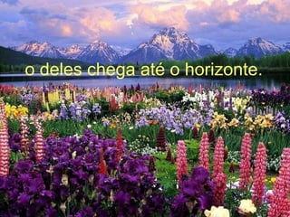 o deles chega até o horizonte. 