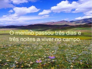 O menino passou três dias e três noites a viver no campo. 