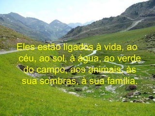 Eles estão ligados à vida, ao céu, ao sol, à água, ao verde do campo, aos animais, às sua sombras, à sua família. 