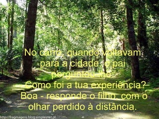 No carro, quando voltavam para a cidade, o pai perguntou-lhe: - Como foi a tua experiência?  Boa - responde o filho, com o olhar perdido à distância. 