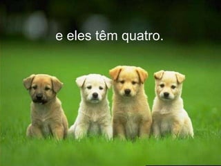 e eles têm quatro. e eles têm quatro. 