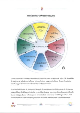 Team management profile Pål Thomassen.PDF