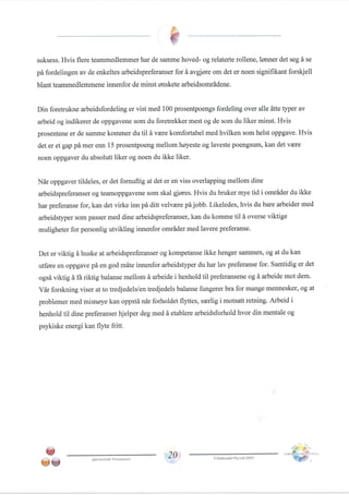 Team management profile Pål Thomassen.PDF