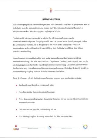 Team management profile Pål Thomassen.PDF
