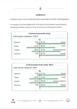 Team management profile Pål Thomassen.PDF