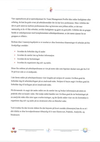 Team management profile Pål Thomassen.PDF