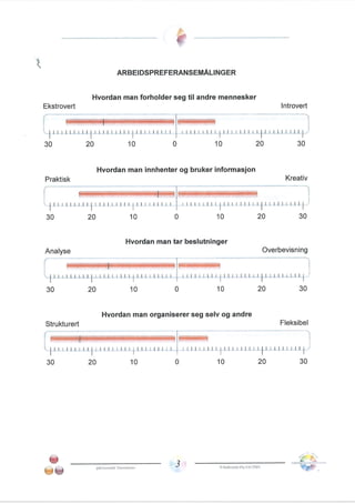 Team management profile Pål Thomassen.PDF