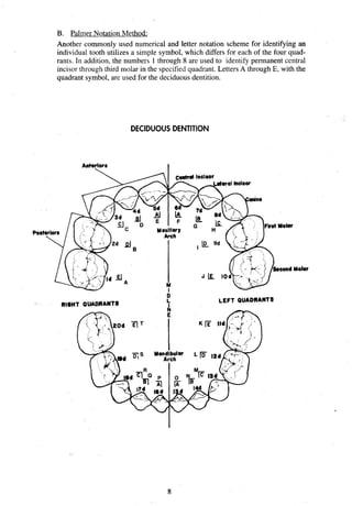 B. Palmer Notation Method:
Another commonly used numerical and letter notation scheme for identifying an
individual tooth utilizes a simple symbol, which differs for each of the four quad-
rants. In addition, the numbers 1through 8 are used to identify permanent central
incisor through third molar in the specified quadrant. Letters A through E, with the
quadrant symbol, are used for the deciduous dentition.
DECIDUOUSDENTITION
Molar
 