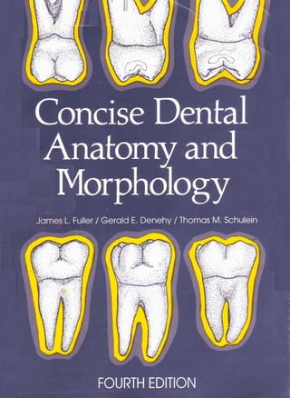 Concise Dental ' .
Jarned,Fuller
A / Gerald E. Denehy / ThomasM.Schulein
FOURTH EDITION
+ _ - ----- - -
- -
 