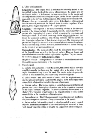 e. Other considerations:
Lingual fossa - The lingual fossa is the shallow concavity found in the
incisal half to two-thirds of the crown, which includes the largest area of
the lingual surface. It. is bounded by four convexities; on the mesial and
distal by the mesial and distal marginal ridges, on the incisal by the incisal
edge, and on the cervical by the cingulum. The fossa is most often smooth.
However, there are occasionally rather poorly defined ridges which extend
into the cervical portion of the lingual fossa from the cingulum. When
present, these ridges may form a "W" shaped pattern.
Cingulum - The cingulum is the bulky convexity located in the cervical
portion of the lingual surface. It is generally smooth. Sometimes there is a
groove, the linguogingival groove, which separates the cingulum and
the lingual fossa. On occasion, there may also be a lingual pit located be-
tween the cingulum and fossa. The pit may be found near the center of
the linguogingival groove, if that structure is present. The linguogingival
groove and lingual pit are much more commonly found on maxillary later-
als than on maxillary centrals. However, neither structure is a usual finding
on the crown of any permanent incisor.
Marginal
- ridges - The marginal ridges mark the mesial and distal borders
of the lingual fossa, as well as the lingual surface. They are linear, and
extend from their respective incisal angles to the cingulum. They are named,
by location, mesial and distal marginal ridges.
Height of contour - The lingual crest of curvature is located in the cervical
third, at the greatest convexity of the cingulum.
5. Mesial aspect:
a. General considerations - From this aspect, the central incisor crown is
roughly triangular in shape, and the incisal edge, at the apex of the tri-
angle, lies over the long axis of the tooth. The mesial surface is generally
convex in both dimensions, incisocervically and labiolingually.
b. Labial outline - The labial outline is convex, with the height of contour
and the greatest convexity located in the gingival third. Some specimens
may exhibit a flat outline incisal to the crest of curvature.
c. Lingual outline - The lingual margin is somewhat concave in the incisal
portion, and convex in the gingival portion, due to the respective contours
of the lingual fossa and cingulum. The entire outline may be described as a
shallow "S". The crest of curvature of the lingual outline is found in the
cervical third at the prominence of the cingulum.
d. Cervical margin - The CEJ curves evenly toward the incisal. It exhibits
the greatest depth of curvature of any tooth surface in the mouth.
e. Incisal outline - It is usually pointed. or slightlyrounded. in newly erupted
incisors. due to the convergence of the labial and lingual surfaces. In teeth
with incisal wear. the outline is straight. but slopes from labial to lingual.
 
