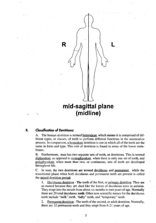 mid-sagittal plane
(midline)
II. Classificationof Dentitions:
A. The human dentition is termed heterodont, which means it is comprised of dif-
ferent types, or classes, of teeth to perform different functions in the mastication
process. In comparison, a homodont dentition is one in which all of the teeth are the
same in form and type. This sort of dentition is found in some of the lower verte-
brates.
B. Furthermore, man has two separate sets of teeth, or dentitions. This is termed
di~hvodont,
as opposed to mono~h~odont.
when there is only one set of teeth, and
polyphyodont, when more than two. or continuous, sets of teeth are developed
throughout life.
C. In man, the two dentitions are termed deciduous and permanent, while the
transitional phase when both deciduous and permanent teeth are present is called
the mixed dentition period.
1. Deciduous dentition - The teeth of the first, or primary dentition. They are
so named because they are shed like the leaves of deciduous trees in autumn.
They erupt into the mouth from about six months to two years of age. Normally
there are 20 total deciduousteeth.Other non-scientificnames for the deciduous
teeth include "milk"teeth. '-baby" teeth, and "temporary" teeth.
2. Permanentdentition -The teeth of the second,or adultdentition.Normally,
there are 32 permanent teeth and they erupt from 6-21 years of age.
 