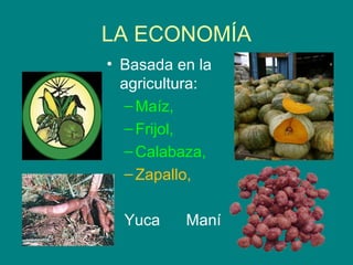 LA ECONOMÍA 
• Basada en la 
agricultura: 
–Maíz, 
–Frijol, 
–Calabaza, 
–Zapallo, 
Yuca Maní 
 