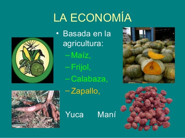 la cultura nazca