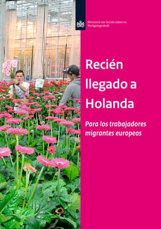 Recién
llegado a
Holanda
Para los trabajadores
migrantes europeos
 