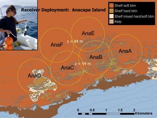 z = 84 m
z = 54 m
Receiver Deployment: Anacapa Island
 