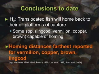 Conclusions to date
► HA: Translocated fish will home back to
their oil platforms of capture
 Some spp. (lingcod, vermilion, copper,
brown) capable of homing
►Homing distances farthest reported
for vermilion, copper, brown,
lingcod
(e.g. Matthews 1990, 1992, Pearcy 1990, Lea et al. 1999, Starr et al. 2004)
 