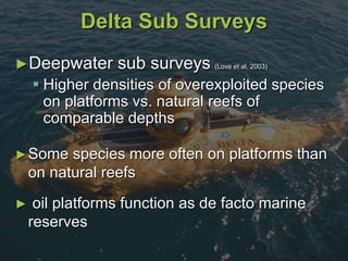 Delta Sub Surveys
►Deepwater sub surveys (Love et al. 2003)
 Higher densities of overexploited species
on platforms vs. natural reefs of
comparable depths
►Some species more often on platforms than
on natural reefs
► oil platforms function as de facto marine
reserves
 