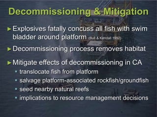 Decommissioning & Mitigation
►Explosives fatally concuss all fish with swim
bladder around platform (Bull & Kendall 1992)
►Decommissioning process removes habitat
►Mitigate effects of decommissioning in CA
 translocate fish from platform
 salvage platform-associated rockfish/groundfish
 seed nearby natural reefs
 implications to resource management decisions
 