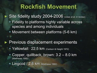 Rockfish Movement
► Previous displacement experiments
 Yellowtail: 22.5 km (Carlson & Haight 1972)
 Copper, quillback, brown: 3.2 – 8.0 km
(Matthews 1990)
 Lingcod / 2.8 km (Matthews 1992)
► Site fidelity study 2004-2006 (Lowe et al. in review)
 Fidelity to platforms highly variable across
species and among individuals
 Movement between platforms (5-6 km)
 