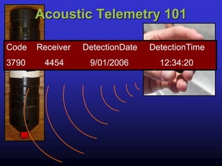 Acoustic Telemetry 101
Code Receiver DetectionDate DetectionTime
3790 4454 9/01/2006 12:34:20
 