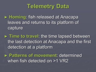 Telemetry Data
► Homing: fish released at Anacapa
leaves and returns to its platform of
capture
► Time to travel: the time lapsed between
the last detection at Anacapa and the first
detection at a platform
► Patterns of movement: determined
when fish detected on >1 VR2
 