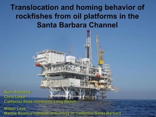 Translocation and homing behavior of
rockfishes from oil platforms in the
Santa Barbara Channel
Kim Anthony
Chris Lowe
California State University Long Beach
Milton Love
Marine Science Institute, University of California Santa Barbara
 