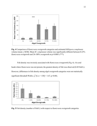  
 
12
 
   
Fig. 4 Comparison of Ramicrusta overgrowth categories and estimated Millepora complanata
volume (mean + SEM). Mean M. complanata volume was significantly different between 0-25%
Ramicrusta overgrowth and 26-100% overgrowth at p<0.0001 (***).
Fish density was inversely associated with Ramicrusta overgrowth (Fig. 6). At coral
heads where Ramicrusta was not present, the greatest density of fish was observed (0.49 fish/L).
However, differences in fish density among algal overgrowth categories were not statistically
significant (Kruskall-Wallis: χ
2
[4, n = 130] = 1.67, p=0.80).
Fig. 5 Fish density (number of fish/L) with respect to Ramicrusta overgrowth categories.
 