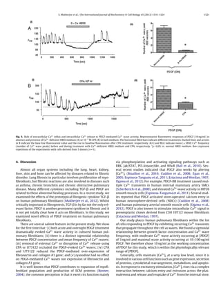 S. Mukherjee et al. / The International Journal of Biochemistry & Cell Biology 45 (2013) 1516–1524 1521
Fig. 5. Role of extracellular Ca2+
inﬂux and intracellular Ca2+
release in PDGF-mediated Ca2+
wave activity. Representative ﬂuorimetric responses of PDGF (10 ng/ml) in
absence and presence of Ca2+
-deﬁcient HBSS medium (A) or 10−5
M CPA (B) in bath medium. The horizontal ﬁlled bars indicate different treatments. Dashed lines and arrows
in B indicate the base line ﬂuorescence value and the rise in baseline ﬂuorescence after CPA treatment, respectively. A(ii) and B(ii) indicate mean (± SEM) Ca2+
frequency
(number of Ca2+
wave peaks) before and during treatment with Ca2+
-deﬁcient HBSS medium and CPA, respectively. *p < 0.05 vs. normal HBSS medium. Bars represent
repetitions of the experiments with cells derived from 5 donors (n = 5).
4. Discussion
Almost all organ systems including the lung, heart, kidney,
liver, skin and bone can be affected by diseases related to ﬁbrotic
disorder. Lung ﬁbrosis in particular involves proliferation of myo-
ﬁbroblasts, but ﬁbrotic reactions are also involved in diseases such
as asthma, chronic bronchitis and chronic obstructive pulmonary
disease. Many different cytokines including TGF-␤ and PDGF are
related to these abnormal healing processes. In a recent study, we
examined the effects of the prototypical ﬁbrogenic cytokine TGF-␤
on human pulmonary ﬁbroblasts (Mukherjee et al., 2012). Whilst
critically important in ﬁbrogenesis, TGF-␤ is by far not the only rel-
evant factor. PDGF is another prominent cytokine in ﬁbrosis and it
is not yet totally clear how it acts on ﬁbroblasts. In this study, we
examined novel effects of PDGF treatment on human pulmonary
ﬁbroblasts.
There are several salient features in the present study. We show
for the ﬁrst time that: (i) both acute and overnight PDGF treatment
dramatically evoked Ca2+ wave activity in cultured human pul-
monary ﬁbroblasts; (ii) there is a distinct sigmoidal relationship
between PDGF concentration and mean frequency of Ca2+-waves;
(iii) removal of external Ca2+ or disruption of Ca2+ release using
CPA or U73122 occluded the PDGF-evoked Ca2+ waves; (iv) CPA
and U73122 reduced the PDGF-mediated over-expression of
ﬁbronectin and collagen A1 gene; and (v) ryanodine had no effect
on PDGF-mediated Ca2+ waves nor expression of ﬁbronectin and
collagen A1 gene.
It is well known that PDGF contributes to expansion of myoﬁ-
broblast population and production of ECM proteins (Bonner,
2004); the common perception is that it exerts its function mainly
via phosphorylation and activating signaling pathways such as
ERK, Jak/STAT, PI3-kinase/Akt, and NF␬B (Ball et al., 2010). Sev-
eral recent studies indicated that PDGF also works by altering
[Ca2+]i (Bisaillon et al., 2010; Cuddon et al., 2008; Egan et al.,
2005; Espinosa-Tanguma et al., 2011; Estaciona and Mordan, 1997;
Ogawa et al., 2012). For example, PDGF-BB treatment caused mul-
tiple Ca2+ transients in human internal mammary artery SMCs
(Scherberich et al., 2000), and elevated Ca2+-wave activity in HITC6
smooth muscle cells (Espinosa-Tanguma et al., 2011). Several stud-
ies reported that PDGF activated store-operated calcium entry in
human neurosphere-derived cells (NDCs) (Cuddon et al., 2008)
and human pulmonary arterial smooth muscle cells (Ogawa et al.,
2012). PDGF is also known to stimulate intracellular Ca2+ signal in
preneoplastic clones derived from C3H 10T1/2 mouse ﬁbroblasts
(Estaciona and Mordan, 1997).
Our study places human pulmonary ﬁbroblasts within the list
of cells responding to PDGF by exhibiting recurring Ca2+ transients
that propagate throughout the cell as waves. We found a sigmoidal
relationship between growth factor concentration and Ca2+ wave
frequency, with moderate Ca2+ wave activity occurring at [PDGF]
of 3 ng/ml and maximal wave activity occurring at 10–100 ng/ml
PDGF. We therefore chose 10 ng/ml as the working concentration
of PDGF for this study, which is within the physiologically relevant
range of [PDGF].
Generally, cells maintain [Ca2+]i at a very low level, since it is
involved in various cell functions such as gene expression, secretion
of proteins, cytoskeletal rearrangement, metabolism, and apopto-
sis. In response to excitatory stimulation, [Ca2+]i rises via a complex
interaction between calcium entry and extrusion across the plas-
malemma and release and reuptake of Ca2+ from the internal store.
 