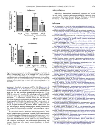 S. Mukherjee et al. / The International Journal of Biochemistry & Cell Biology 45 (2013) 1516–1524 1523
Fig. 7. Expression of collagen A1 (A) and ﬁbronectin 1 (B) genes by PDGF in the
absence or presence of 10−5
M CPA, 10−5
M Ryanodine, or 10−6
M U73122. All cells
were pretreated with PDGF (O/N) except control. Data were standardized against
the expression of ␤2-microglobuline, and relative overexpression was calculated by
normalizing against the values obtained in the PDGF-naive group (not shown). All
results are shown as mean ± SEM, *p < 0.05 vs. PDGF (vehicle) treated group; n = 3 in
each group.
pulmonary ﬁbroblasts in response to ATP or TGF-␤ (Janssen et al.,
2009; Mukherjee et al., 2012). In the present study, PDGF signif-
icantly increased the expression of collagen A1 and ﬁbronectin
gene, but this was markedly reduced by treatment with CPA or
U73122 and not by ryanodine. These ﬁndings conﬁrm that PDGF-
mediated gene expression in human pulmonary ﬁbroblast also
followed a Ca2+ dependent pathway. Given that the proﬁbrotic
response to overnight continuous stimulation with PDGF could
be abrogated within 6 h after abolition of Ca2+-wave activity by
CPA (Fig. 7), we would suggest that the positive effect of Ca2+-
waves on gene expression manifests within a few hours. We
are now preparing a series of experiments aimed at elucidating
the temporal relationship between Ca2+-waves and gene expres-
sion.
In conclusion, our data show that in human pulmonary ﬁbro-
blasts, PDGF initiates recurring Ca2+ wave activity (via stimulation
of phospholipase C and IP3-gated channels), the frequency of which
correlates with PDGF concentration. This Ca2+ wave activity in turn
regulates gene expression of ECM genes. As such, modulators of
Ca2+-handling in these cells may prove useful in controlling pul-
monary ﬁbrosis and other matrix protein imbalances in chronic
lung diseases.
Acknowledgments
The authors acknowledge the technical support of Mrs. Tracy
Tazzeo. Grants: This work was supported by the Canadian Lung
Association, the Ontario Thoracic Society, TD Grant in Medical
Excellence Award, and St. Joseph’s Healthcare Hamilton.
References
Ball SG, Shuttleworth CA, Kielty CM. Platelet-derived growth factor receptors reg-
ulate mesenchymal stem cell fate: implications for neovascularisation. Expert
Opinion on Biological Therapy 2010;10:57–71.
Bisaillon JM, Motiani RK, Gonzalez-Cobos JC, Potier M, Halligan KE, Alzawahra WF,
et al. Essential role for STIM1/Orai1-mediated calcium inﬂux in PDGF-induced
smooth muscle migration. American Journal of Physiology – Cell Physiology
2010;298:C993–1005.
Blatti SP, Foster DN, Ranganathan G, Moses HL, Getz MJ. Induction of ﬁbronectin gene
transcription and mRNA is a primary response to growth-factor stimulation of
AKR-2B cells. Proceedings of the National Academy of Sciences of the United
States of America 1988;85:1119–23.
Bonner JC. Regulation of PDGF and its receptors in ﬁbrotic diseases. Cytokine and
Growth Factor Reviews 2004;15:255–73.
Bridges K, Levenson R, Housman D, Cantley L. Calcium regulates the commitment
of murine erythroleukemia cells to terminal erythroid differentiation. Journal of
Cell Biology 1981;90:542–4.
Canalis E. Effect of platelet-derived growth factor on DNA and protein synthesis in
cultured rat calvaria. Metabolism: Clinical and Experimental 1981;30:970–5.
Chen Q, Cannell M, van Breemen C. The superﬁcial buffer barrier in vascular smooth
muscle. Canadian Journal of Physiology and Pharmacology 1992;70:509–14.
Cuddon P, Bootman MD, Richards GR, Smith AJ, Simpson PB, Roderick HL.
Methacholine and PDGF activate store-operated calcium entry in neuronal pre-
cursor cells via distinct calcium entry channels. Biological Research 2008;41:
183–95.
De Smedt H, Parys JB, Himpens B, Missiaen L, Borghgraef R. Changes in the mech-
anism of Ca2+
mobilization during the differentiation of BC3H1 muscle cells.
Biochemical Journal 1991;273:219–24.
Dolmetsch RE, Xu K, Lewis RS. Calcium oscillations increase the efﬁciency and
speciﬁcity of gene expression. Nature 1998;392:933–6.
Donovan J, Abraham D, Norman J. Platelet-derived growth factor signaling in mes-
enchymal cells. Frontiers in Bioscience 2013;18:106–19.
Egan CG, Wainwright CL, Wadsworth RM, Nixon GF. PDGF-induced signaling in
proliferating and differentiated vascular smooth muscle: effects of altered intra-
cellular Ca2+
regulation. Cardiovascular Research 2005;67:308–16.
Espinosa-Tanguma R, O’Neil C, Chrones T, Pickering JG, Sims SM. Essential role for
calcium waves in migration of human vascular smooth muscle cells. American
Journal of Physiology – Heart and Circulatory Physiology 2011;301:H315–23.
Estaciona M, Mordan LJ. PDGF-stimulated calcium inﬂux changes during in vitro
cell transformation. Cellular Signaling 1997;9:363–6.
Ethier MF, Yamaguchi H, Madison JM. Effects of cyclopiazonic acid on cytosolic
calcium in bovine airway smooth muscle cells. American Journal of Physiology
– Lung Cellular and Molecular Physiology 2001;281:L126–33.
Faletto DL, Macara IG. The role of Ca21 in dimethyl sulfoxideinduced differ-
entiation of Friend erythroleukemia cells. Journal of Biological Chemistry
1985;260:4884–9.
Heldin CH, Ostman A, Ronnstrand L. Signal transduction via platelet-derived growth
factor receptors. Biochimica et Biophysica Acta 1998;1378:F79–113.
Heldin CH, Westermark B. Mechanism of action and in vivo role of platelet-derived
growth factor. Physiological Reviews 1999;79:1283–316.
Heldin P, Laurent TC, Heldin CH. Effect of growth factors on hyaluronan synthesis
in cultured human ﬁbroblasts. Biochemical Journal 1989;258:919–22.
Hensold JO, Dubyak G, Housman DE. Calcium lonophore, A23187, induces com-
mitment to differentiation but inhibits the subsequent expression of erythroid
genes in murine erythroleukemia cells. Blood 1991;77:1362–70.
Janssen LJ, Farkas L, Rahman T, Kolb MR. ATP stimulates Ca(2+)-waves and gene
expression in cultured human pulmonary ﬁbroblasts. International Journal of
Biochemistry and Cell Biology 2009;41:2477–84.
Lewis CC, Chu HW, Westcott JY, Tucker A, Langmack EL, Sutherland ER, et al. Airway
ﬁbroblasts exhibit a synthetic phenotype in severe asthma. Journal of Allergy
and Clinical Immunology 2005;115:534–40.
Li W, LIopis J, Whitney M, Zlokarnik G, Tsien RY. Cell-permeant caged InsP3
ester shows that Ca2+
spike frequency can optimize gene expression. Nature
1998;392:936–41.
Marks AR, Taubman M, Saito A, Dai Y, Fleischer S. The ryanodine receptor/junctional
channel complex is regulated by growth factors in a myogenic cell line. Journal
of Cell Biology 1991;114:303–12.
Marsh T, Pietras K, McAllister SS. Fibroblasts as architects of cancer pathogenesis
Biochimica et Biophysica Acta 2013;1832:1070–8.
McAnulty RJ. Fibroblasts and myoﬁbroblasts: their source, function and role
in disease. International Journal of Biochemistry and Cell Biology 2007;39:
666–71.
Mukherjee S, Kolb MR, Duan F, Janssen L. Transforming growth factor beta evokes
Ca2+
wave and enhances gene expression in human pulmonary ﬁbroblast. Amer-
ican Journal of Respiratory Cell and Molecular Biology 2012;46:757–64.
 