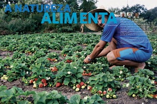 De onde vem o arroz, o feijão, a carne, o leite,
o pão que servem diariamente as nossas
mesas? Os alimentos que nos sustentam são
produtos da natureza. São o resultado de uma
interação orquestrada de elementos como o sol,
a chuva, insetos polinizadores, biodiversidade e
ecossistemas saudáveis. O meio ambiente, quando
respeitado, compartilha a sua graça e generosidade.
A TNC trabalha para garantir a continuidade da
provisão de alimentos de forma sustentável.
Where do the rice, beans, meat, milk and bread that we eat daily come from?
The foods that nourish us are nature’s products. They are the result of a synergic
interaction between the elements, such as the sun, rain, pollinating insects,
biodiversity and healthy ecosystems. When the environment is respected, it shares its
grace and generosity. The Conservancy works to ensure the continued availability of
foods produced in a sustainable manner.
ALIMENTA
16 The Nature Conservancy I tnc.org.br A Natureza Importa I The Nature Conservancy 17
©Rui Rezende
Strawberry Patch
Plantação de Morango
A NatureZA
NATURE NOURISHES
 