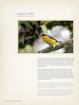 56 The Nature Conservancy I tnc.org.br
ABOUT THE NATURE CONSERVANCY
Sobre a TNC
A The Nature Conservancy (TNC) é uma organização sem fins lucrativos, voltada
para a conservação ambiental, que se propôs a encontrar soluções para o desafio
de proteger os ecossistemas naturais de forma conciliada com o desenvolvimento
econômico e social. Fundada em 1951, é a maior e uma das mais antigas ONGs
ambientais do mundo. Está presente em mais de 35 países e, com seus mais de
1 milhão de colaboradores, contribui para a proteção de 130 milhões de hectares
em todo o planeta.
No Brasil, o Instituto de Conservação Ambiental The Nature Conservancy do
Brasil trabalha desde 1988 para promover a conservação ambiental em larga
escala em biomas como a Amazônia, a Mata Atlântica, o Cerrado, a Caatinga
e o Pantanal, orientando seus esforços por cinco linhas de atuação – Produção
Sustentável, Segurança Hídrica, Mudanças Climáticas, Infraestrutura Inteligente e
Conservação em Terras Indígenas. As ações propostas, implementadas por meio
de estratégias integradas, buscam incorporar as dimensões econômicas e sociais
aos objetivos de conservação.
The Nature Conservancy (the Conservancy) is a non-profit conservation organization that seeks
solutions to the challenge of balancing the protection of natural ecosystems with economic and social
development. Formed in 1951, it is the largest and one of the oldest environmental NGOs in the world. It
is present in over 35 countries and, with the support of more than 1 million members, contributes to the
protection of over 321 million acres around the globe.
In Brazil, the Environmental Conservation Institute The Nature Conservancy of Brazil operates since
1988 to promote large scale environmental conservation in ecosystems such as the Amazon, the
Atlantic Forest, the Cerrado, the Caatinga and the Pantanal wetlands. It develops projects in five areas:
Sustainable Production, Water Safety, Climate Change, Intelligent Infrastructure and the Conservation
of Indigenous Lands. The projects are implemented by means of integrated strategies, and seek to
incorporate economic and social aspects to the overall conservation objective.
©Haroldo Palo Jr.
Gaturamo na Mata Atlântica,
Minas Gerais
Gaturamo Bird, Atlantic Forest, Minas Gerais
 