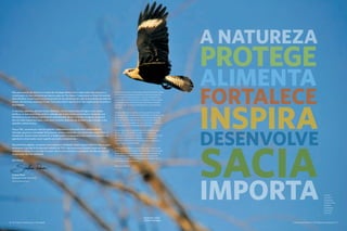 Nós somos parte da natureza. A noção de interdependência entre o bem-estar das pessoas e a
conservação do meio ambiente permeia as ações da The Nature Conservancy no Brasil há mais de
duas décadas. Conservamos os ecossistemas em sua plenitude para que as populações possam ter
acesso aos recursos essenciais à vida. É por esse motivo que me sinto tão orgulhosa de me juntar a
essa equipe.
A natureza, sabemos, garante nossos alimentos, sacia a nossa sede, protege a nossa saúde,
purifica o ar que respiramos, produz a energia que move a nossa economia e a inspiração que
alimenta as nossas almas. E partindo do entendimento de que as terras e as águas do planeta
têm um valor inestimável para o bem-estar humano, defendemos também a aproximação entre
agendas e atores sociais.
Para a TNC, somente por meio do trabalho colaborativo e articulado entre ambientalistas,
mercado, governos e sociedade será possível alcançar resultados de conservação sustentáveis e
duradouros. Quanto mais eficiente for a mobilização e o engajamento dos múltiplos parceiros na
agenda de conservação, maior o ganho para todos os envolvidos.
Nas próximas páginas, contamos como estamos trabalhando. Espero que as histórias lidas a seguir,
de pessoas cuja vida foi tocada pelo trabalho da TNC e seus parceiros, possam incentivar suas
reflexões e motivá-lo a se juntar ao nosso esforço para promover a qualidade de vida por meio da
conservação do meio ambiente.
Boa leitura!
We are part of nature. The interdependence between the welfare
of human beings and the conservation of the environment has
permeated all of the Conservancy´s actions in Brazil for over
two decades. We seek to conserve ecosystems in their entirety
so that populations can have access to the resources that are
essential to life. It is for this reason that I am so proud to join
this team.
We know that Nature supplies our food, quenches our thirst,
protects our health, purifies the air we breathe, and produces the
energy that moves our economy and the inspiration that fuels
our souls. With the understanding that the planet’s lands and
waters have immeasurable value to our well-being, we defend
bringing together social agendas and stakeholders.
For the Conservancy, longstanding sustainable conservation
results will only be possible by collaborative action and
discussion among environmentalists, the market, governments
and society. The greater the efficiency in mobilizing and
involving multiple partners in the conservation agenda, the
greater the gains for all involved.
In the pages that follow, we present our work. I hope that the
stories we share about people whose lives have been impacted
by the work of the Conservancy and its partners in Brazil will
encourage you to reflect and will motivate you to become
involved in our efforts to promote quality of living through the
conservation of the environment.
Enjoy your reading!
A NATUREZA
PROTEGE
ALIMENTA
FORTALECE
INSPIRA
DESENVOLVE
SACIA
IMPORTA
8 The Nature Conservancy I tnc.org.br A Natureza Importa I The Nature Conservancy 9
nature
Protects
Nourishes
Strengthens
Inspires
Empowers
Quenches
matters
Cavalcante, Goiás
©Gabriel Daldegan
Suelma Rosa
Representante Nacional
National Representative
 