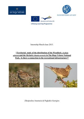 Internship March-June 2013.
“Territorial study of the distribution of the Woodlark (Lullula
arborea) and the Skylark (Alauda arvensis) in The Hoge Veluwe National
Park. Is there a connection to the recreational infrastructure?”
Zikopoulou Anastasia & Pagkakis Georgios
 