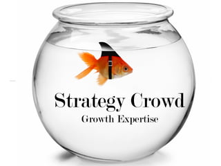 Strategy Crowd
Growth Expertise
 
